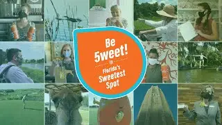 Be 5weet in Florida's Sweetest Spot  |  5 Steps to Keep Polk County Safe for Visitors and Residents