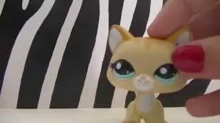 LPS • Poland Mini Haul