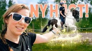 Rider min NYA häst