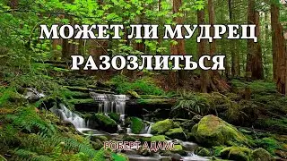 Может ли мудрец разозлиться - Роберт Адамс