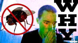 DON'T LET THE FLIES ESCAPE!! | flies in a jar Gameplay