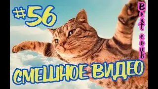 #подборкаприколов #56 #лучшиеприколы2020 #смешноевидео2020 #coub #киноприколы #любительскоевидео