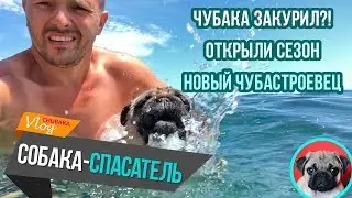 Чубака закурил?! / Открыли пляжный сезон / Новый чубастроевец /ЧубаСтрой - строим дом в Крыму!