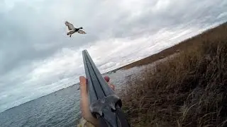 Hunting # 53 duck hunting, sea