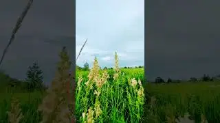 #music