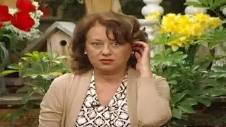 რა მოხდა "სხვა შუადღეში" ra moxda "sxva shuadgeshi"