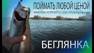 форель  беглянка на спиннинг)
