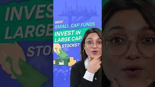 why small cap funds invest in large companies?
