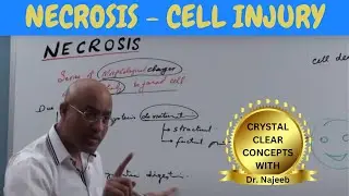 Necrosis | Cell Injury | General Pathology 🩺