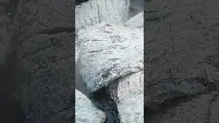 Астраханский сазан, в манке на сковороде. В палатке...