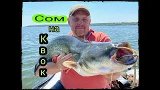 Сом на Квок.Ловля сома на КВОК на ДНЕПРЕ.Как поймать Сома на Квок.