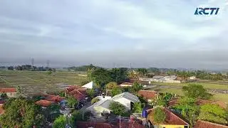 Polltar Jt 1 Pro