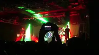 Dolphin - Киберпанк