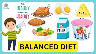 WHAT IS A BALANCED DIET | BALANCED DIET | SCIENCE VIDEO | Fun Balanced Diet Adventure for Kids
