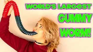 WORLDS LARGEST GUMMY WORM! GUMMY WORM VS GIRL! GIANT CANDY !