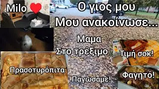#vlog#παγωσαμε!#ανακοίνωση!#τρέξιμο!#φαγητό#τιμη#σοκ#milo#immigrants in #Germany