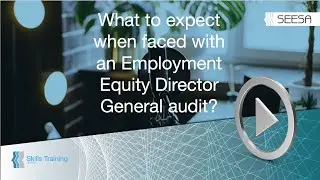 What to expect when faced with an Employment Equity Director General audit?