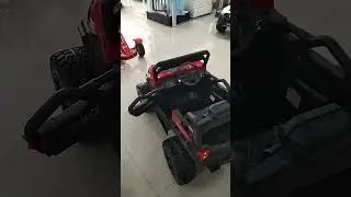 баги полный привод модель 301