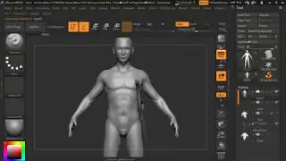 character design