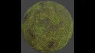 Mossy Ground Surface stages, Substance Designer