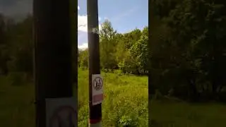 29 мая 2023 г.