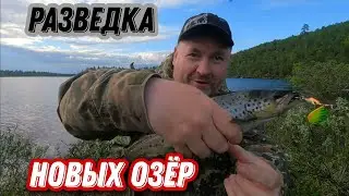 Со СПИННИНГОМ в разведку по НОВЫМ озёрам. Ловля КУМЖИ на БЛЕСНУ.