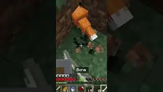 Sad Fox Moment In Minecraft