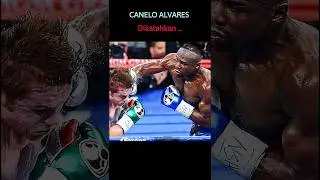 Canelo Alvares kalah dengan petinju ini #elangeagle #boxing