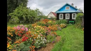 Старый дворик