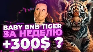 Baby BNB Tiger - ЧТО БУДЕТ ДАЛЬШЕ? ГЕМ ТОКЕН 2023