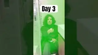 day 3 of watching harry potter