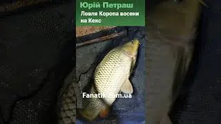 Ловля Коропа восени на Кекс