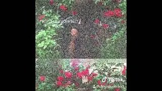 Цыганская песня2021🔥Ту барвало⚜️