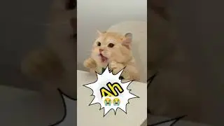 😭😭😭