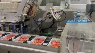 automatic frozen food ready meal cartoning box packaging machine