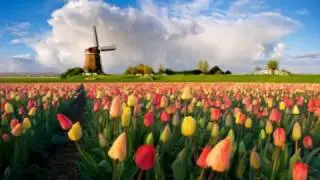 Thijs van Domburg - Vrijheid van Meningsuiting