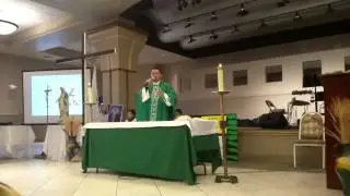 Homilía del Padre Memo en el Encuentro de Familias