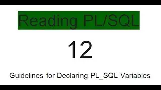 Guidelines for Declaring PL SQL Variables 12