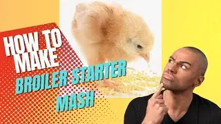How to Make Broiler Starter Feed Formulation(HD Quality)