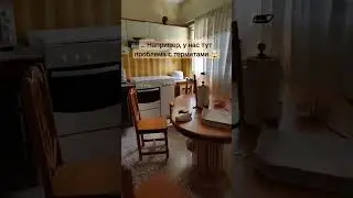 Термиты!! Гррр 🤯