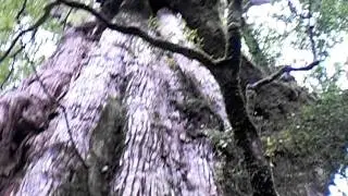 PA130115