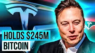 Elon Musk holds $245million Bitcoin Recently for Tesla