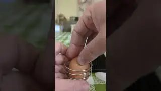 Egg Hammer working correctly!!!