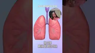 Старение и объём лёгких #биохакинг #зож #дыхание #дыхательныепрактики #shorts #паническиеатаки