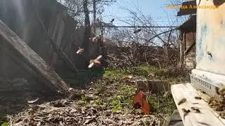 Полёт  в замедленой съёмке