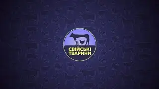 Кріль Каліфорнійський 🐇 | Свійські Тварини - Серія 21 | 6 Соток