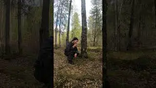 Березовые груши! #выживание #дикаяприрода  #бушкрафт