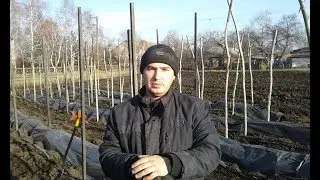 Подведение итогов уходящего 2017 года