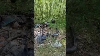 МАКСИМАЛЬНЫЙ  репост !!!!!пусть ЭТИ ГАДЫ увидят кто они  !!