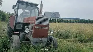 talerzowanie ugoru, stary sprzęt ale działa ‼️